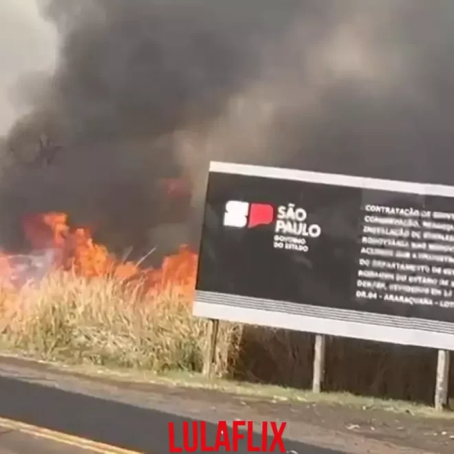 Amplia-se a possibilidade de incêndios florestais no interior de São Paulo, avisa Defesa Civil