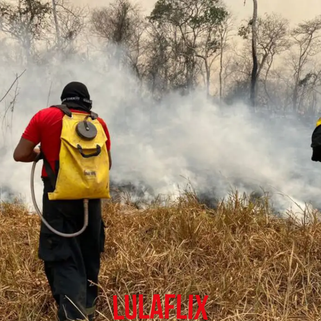 Incêndios florestais registram aumento alarmante de 394% em número de emergências em agosto