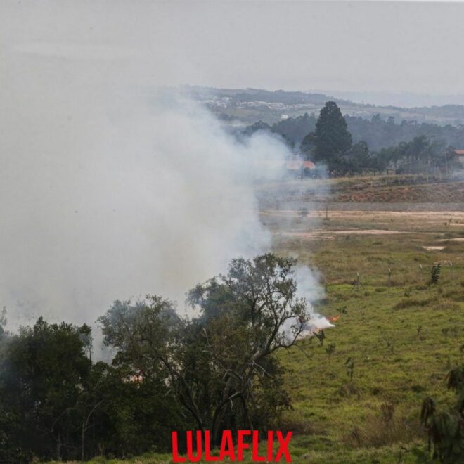 Funcionários denunciam ter previamente advertido sobre incêndios e exigem maior apoio para instituições ambientais