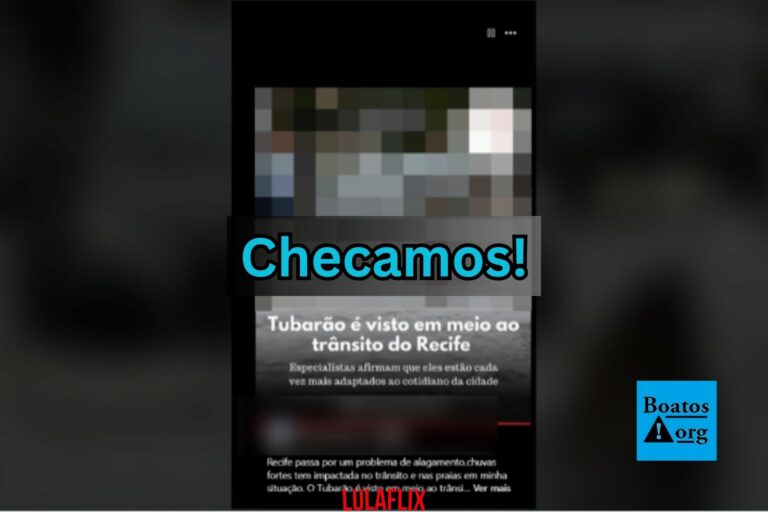 É falso que tubarão tenha sido visto em meio ao trânsito no Recife