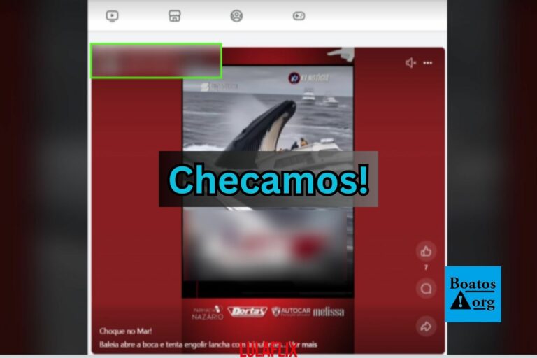 Vídeo que mostraria baleia engolindo tripulantes em alto-mar foi criado com IA