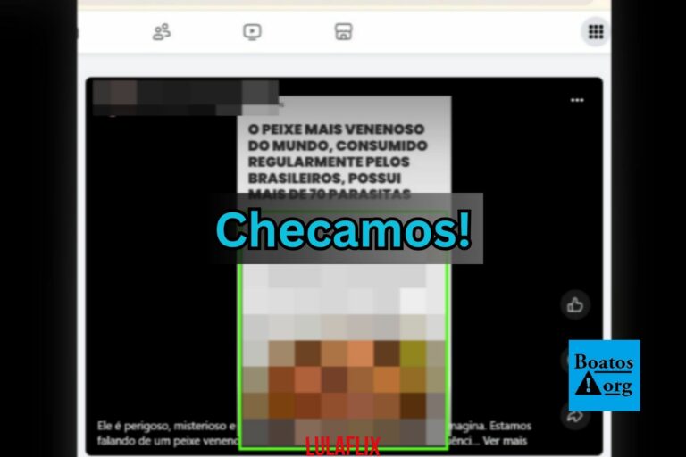 Nem salmão é o peixe mais venenoso do mundo tampouco é consumido por “muitos brasileiros”